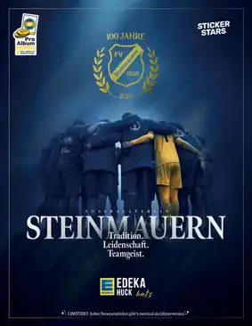 Cover von FV Steinmauern