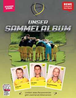 Cover von SpVgg Bochingen