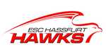 Logo von ESC Haßfurt e.V.