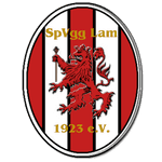 Logo von Sportvereinigung Lam 1923 e.V.