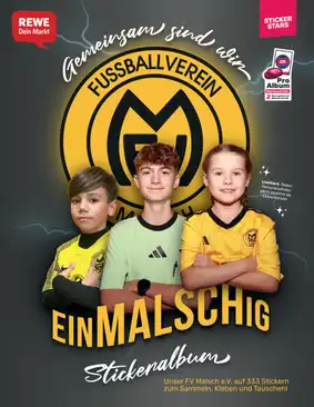 Cover von FV Malsch e.V.