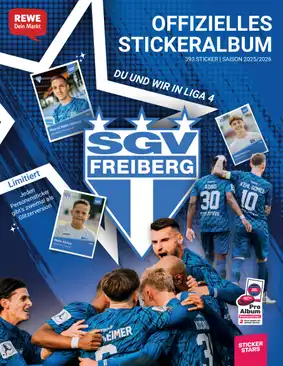 Cover von Sport- und Gesangsverein Freiberg Fußball e. V.