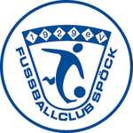 Logo von Fußballsportverein Büchenau e.V.